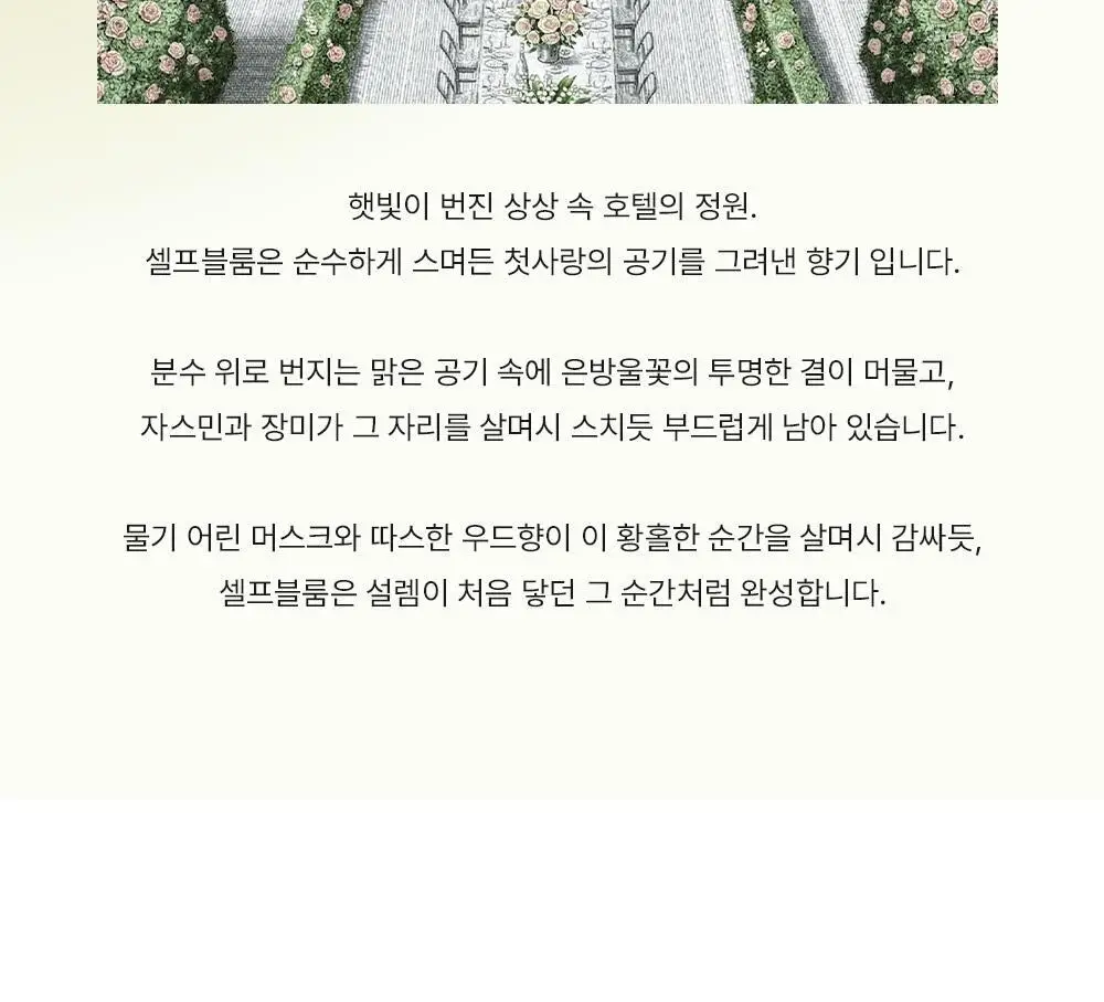[올영ONLY] 호텔도슨 헤어퍼퓸 20ml 2종 택1+퍼퓸샤쉐 상세페이지 15